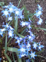 IMG_20170328_174417.webp