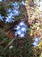 IMG_20170328_174358.webp