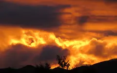 IMG_5494bt (1).webp
