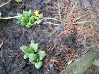 20170330_071807.jpg