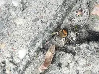20170330_155330.webp