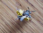 20170330_160034.jpg