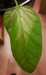 20170330_213733-1.jpg