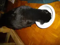 IMGP3630.webp
