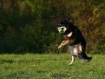 IMG_2484a-2.jpg