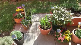 20170331_160718_resized.webp