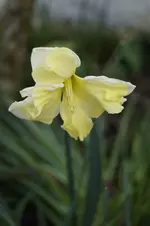 _DSC1343.webp