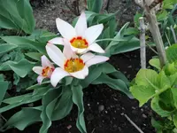 DSC09121.webp