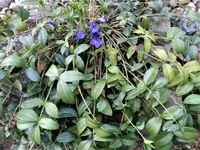 DSC09126.webp