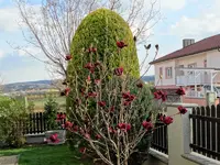 DSC09112.webp
