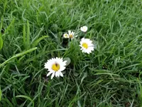 DSC09131.webp