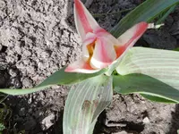 P1000460.webp