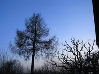 006.webp