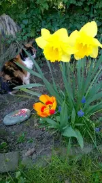 1152_3136616466666631.webp