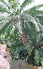 20170401_170441.webp