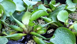20170401_172516.webp