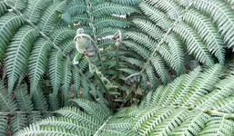 20170401_174825.webp