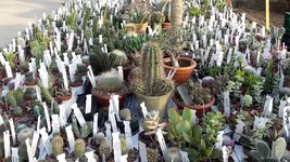 20170401_181338.webp