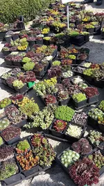 20170401_132249.webp