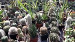 20170401_141930.jpg