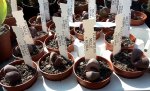 20170401_141418.jpg