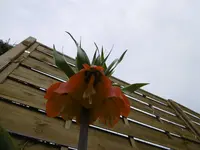 P1000493.webp