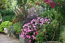Terasse4616.webp