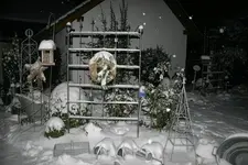 Winter0710a.webp Winter0710a.webp