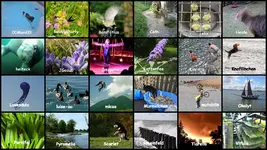 Maerz 2017 in Bewegung v (2).webp