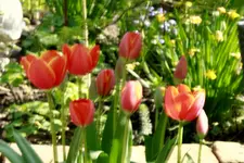 _MG_1792.webp