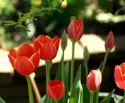 _MG_1793.webp