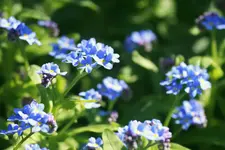 _MG_1794-001.webp