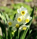 _MG_1803.webp