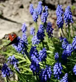 _MG_1810.webp