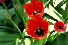 _MG_1818-001.webp