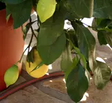 _MG_1820.webp