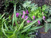 IMG_7517.webp