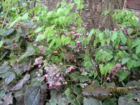 IMG_7522.webp