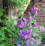 IMG_7528.webp