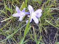 20170402_113836.webp