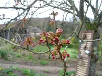 IMG_7717.webp