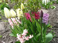 IMG_7705.webp