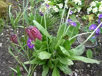 IMG_7707.webp