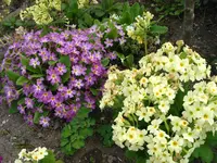 IMG_7709.webp