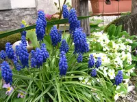 IMG_7713.webp