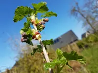 20170402_151120.webp