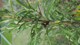 20170402_133045.webp