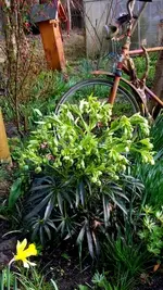 20170331_165945.webp