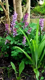20170331_170125.webp