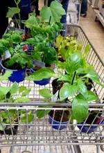 20170402_141013.webp